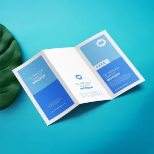 Trifold brochures