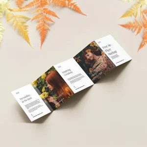 accordion brochure